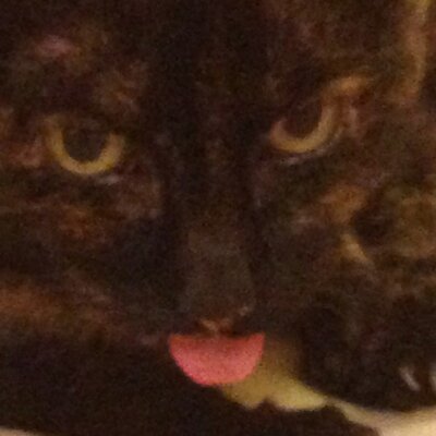 Profile Picture of Vicky Anders (@overitalready6) on Twitter