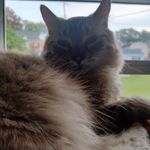 Profile Picture of Larry Bowers (@lbowersherba24) on Instagram