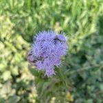 Profile Picture of Life_going_on (@life_going_on7) on Instagram