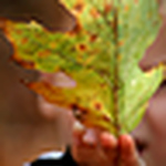 Profile Picture of Scotty Hoaglund (@Scott Hoaglund) on Flickr