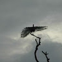 Profile Picture of Meera Ram (@meera-ram-24) on Quora