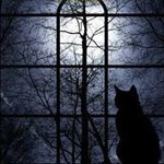 Profile Picture of Randy Hannisick (@19dolph71) on Instagram