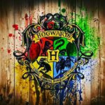 Profile Picture of Harry James Potter (@ha.james.potter) on Instagram