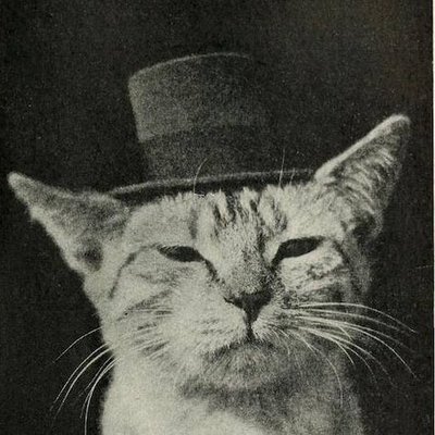 Profile Picture of James Howell (@Adilegian) on Twitter