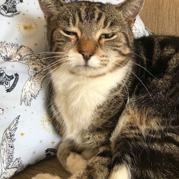 Profile Picture of Alix Lightfoot (@alixlightfoot) on Poshmark