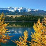 Profile Picture of Susan Jean Grandy (@froghopper1948) on Instagram