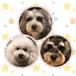 Profile Picture of kama_rin (@kamar_rin) on Instagram