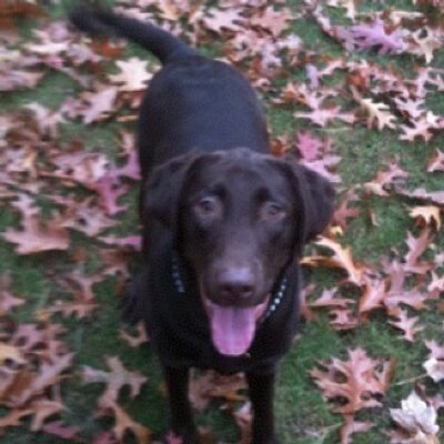 Profile Picture of Ben Wolak (@benwolak) on Twitter