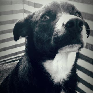 Profile Picture of Guido AnnerOhstsee (@Guido-AnnerOhstsee) on Facebook