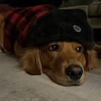 Profile Picture of Matthew Sabado (@Matthew-Sabado) on Facebook