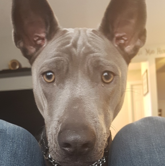 Profile Picture of Riley Gartman (@riley_gartman) on Poshmark