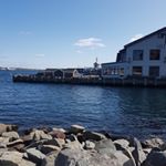 Profile Picture of Kim Napier (@napier.kim) on Instagram