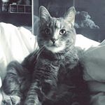 Profile Picture of Gary (@gary.graybeard) on Instagram