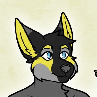 Profile Picture of Robin_Patrick_Renard (@Robin_P_Renard) on Twitter