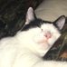 Profile Picture of Mary Scala (@mary.scala.357) on Facebook