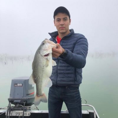 Profile Picture of David Cardoso (@david_cardoso1) on Twitter