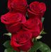 Profile Picture of Harmander Singh (@Harmander-Singh) on Facebook