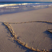 Profile Picture of Saeed Moghadam (@saeedmoghadam2557) on Youtube