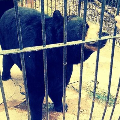 Profile Picture of Dylan Carney (@WhiteBruder) on Twitter