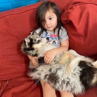 Profile Picture of Nicole Chandool (@nicole-chandool-1) on Quora