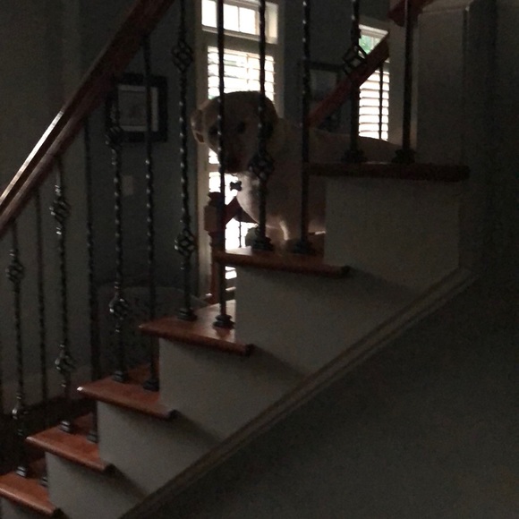 Holly Redeker - Poshmark Profile Picture of Holly Redeker (@redekerh) on Poshmark