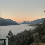 Profile Picture of Sonja Newby (@sonjaboilolz) on Instagram