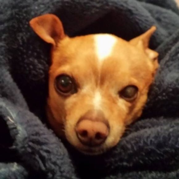 Profile Picture of Catherine Edwards (@charliebrown2) on Poshmark