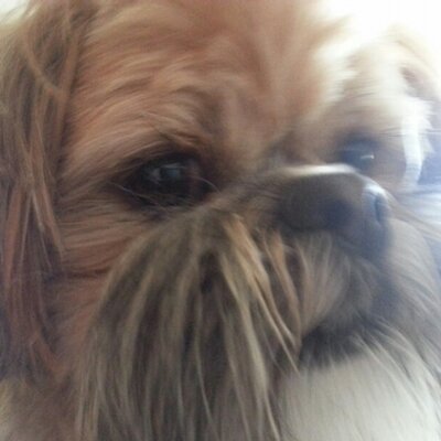 Profile Picture of Danny Glidewell (@DannyGlidewell1) on Twitter