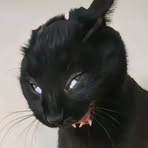 Profile Picture of Cristopher Retana (@cristopher.retana.2025) on Facebook