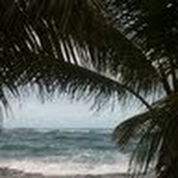 Profile Picture of Verónica Irizarry (@verónica-irizarry) on Quora