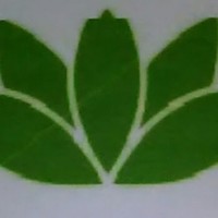 Profile Picture of Matt Holt (@matt-holt-35) on Quora