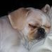 Profile Picture of April Houser (@april.houser.96) on Facebook