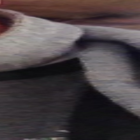 Profile Picture of Lisa Alamos (@llalamos) on Poshmark