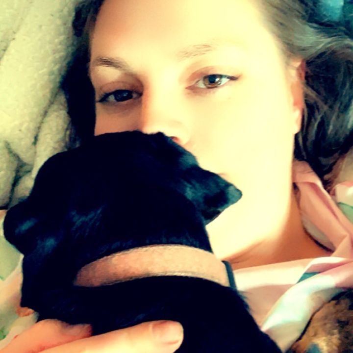 Profile Picture of Crystal Sutton (@@4dogsohno) on Tiktok