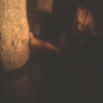 Profile Picture of Dustin Everett (@coon_hunterhard) on Twitter