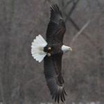 Profile Picture of Patrick Kent (@sirpatrickofiowa) on Instagram