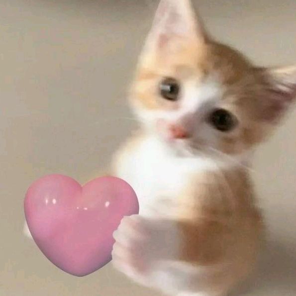 Profile Picture of bill (@billoveyuw) on Tiktok