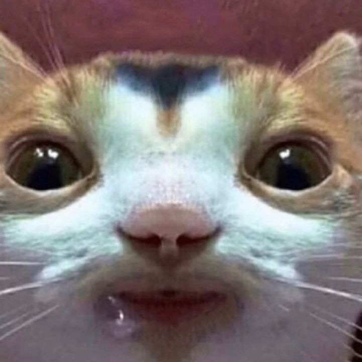 Profile Picture of Jason Pine (@jasonppine) on Tiktok