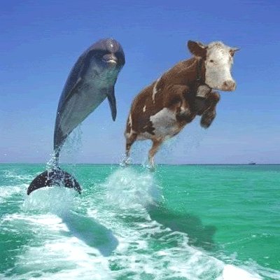 Profile Picture of Jeff Z Brooker III (@jzbiii) on Twitter