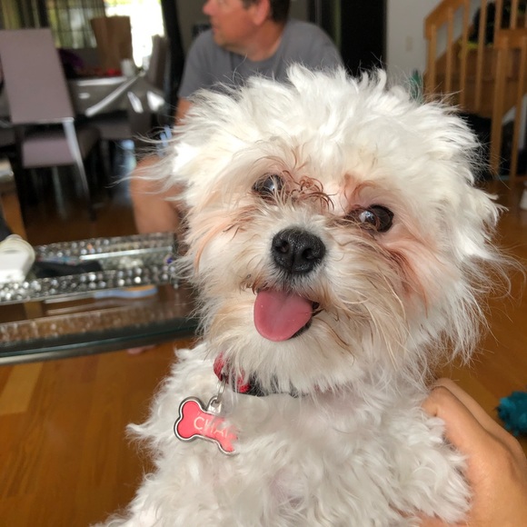 Profile Picture of Andrea Menard (@andreamenard) on Poshmark