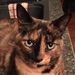 Profile Picture of Lee-Ann Mann (@leeannmann58) on Pinterest