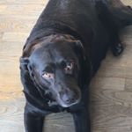 Profile Picture of julie treece (@tree.ju) on Instagram