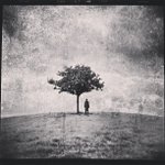 Profile Picture of Mary Scott (@erleryjo) on Instagram