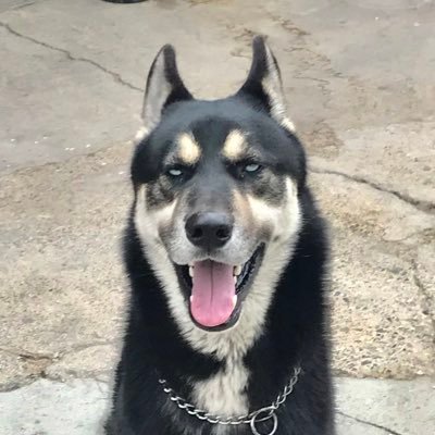 Mark Govea - Twitter Profile Picture of Mark Govea (@mark_govea) on Twitter