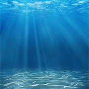 Profile Picture of Jessica Lack (@jessicalack6298) on Youtube