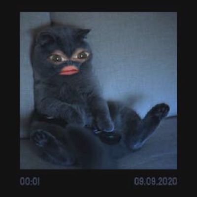Profile Picture of Lucas Ayers (@LucasAyers12) on Twitter