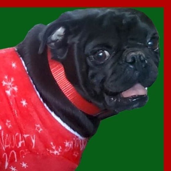 Profile Picture of Ogl Barca (@owensguillen) on Poshmark