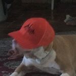 Profile Picture of Wo (@jbyrd_jbyrd) on Instagram