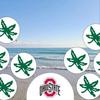 Profile Picture of adamlauderman968 (@adamlauderman968) on Tiktok
