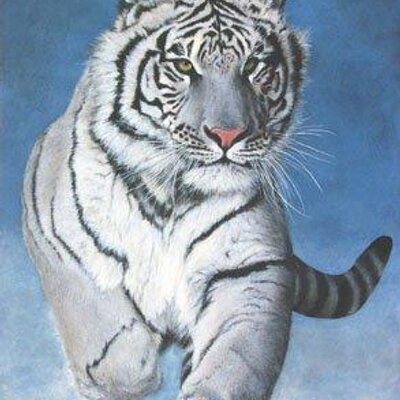 Profile Picture of Claudio Durán (@Claudio_Duran) on Twitter